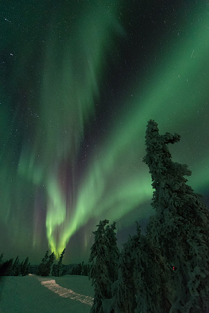 Aurora Path