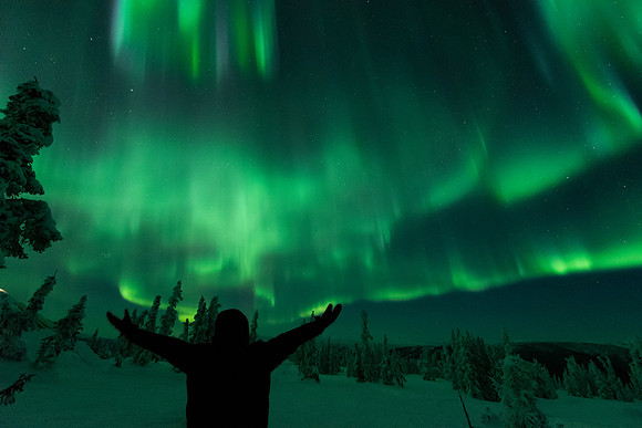 Aurora selfie