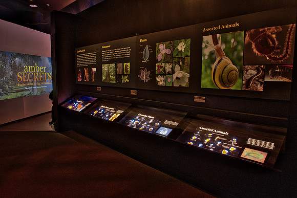 Exhibit