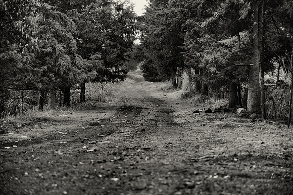 Into the unknown