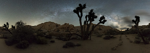 10-Joshua Tree