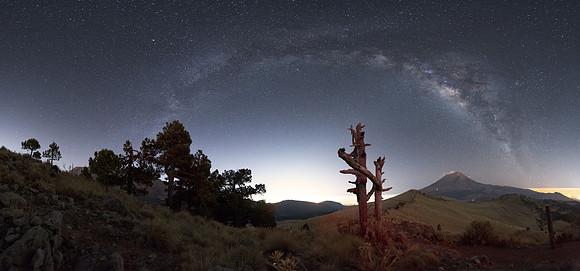 Popocatepetl_arbol_Panorama