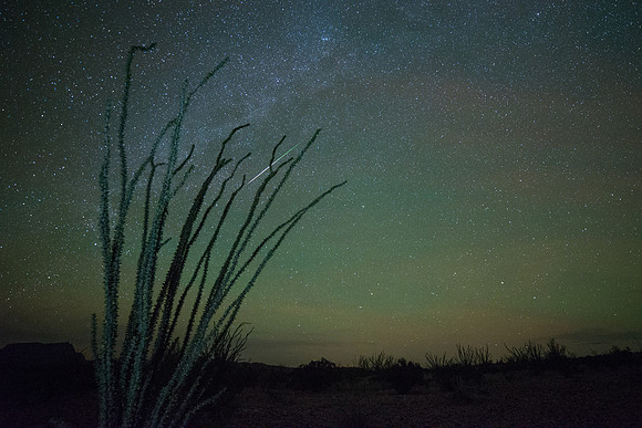 Ocotillo and fireball