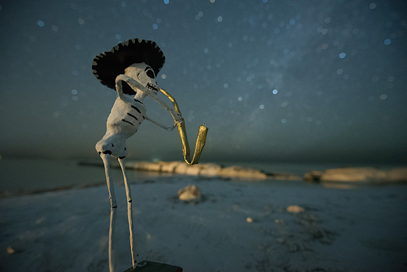 Serenata bajo las estrellas