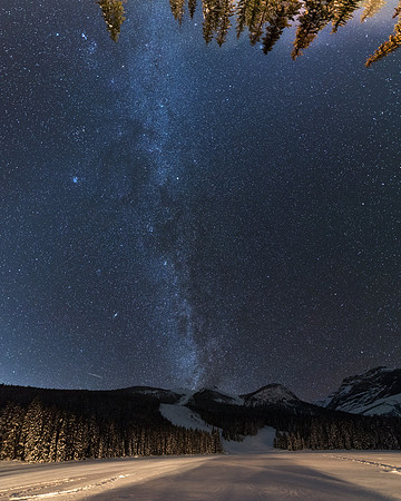 Milkyway avalanche